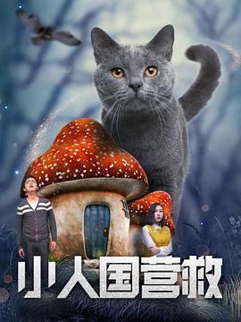 99精品视频看国产啪视频